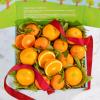AB1034, Citrus Duet Gift Box