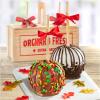 ACA1014, Fall for Chocolate Covered Caramel Apples Pair in a Wooden Gift Crate