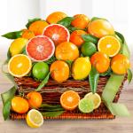 Sweet Sunshine Citrus Basket