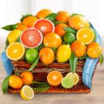 Happy Birthday Sweet Sunshine Citrus Fruit Gift Basket