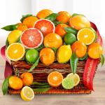 Congratulations Sweet Sunshine Citrus Fruit Gift Basket