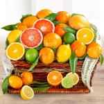 Sympathy Sweet Sunshine Citrus Fruit Gift Basket