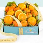 With Sympathy California Citrus Duet Gift Box