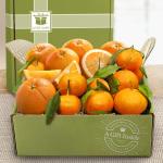 Citrus Duet Gift Box