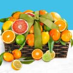 Sweet Sunshine Citrus Basket