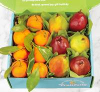Fruit Clubs