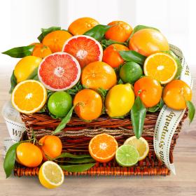 AA4072S, Sympathy Sweet Sunshine Citrus Fruit Gift Basket