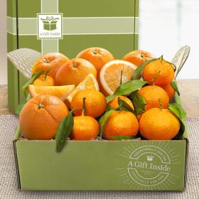AB1034, Citrus Duet Gift Box