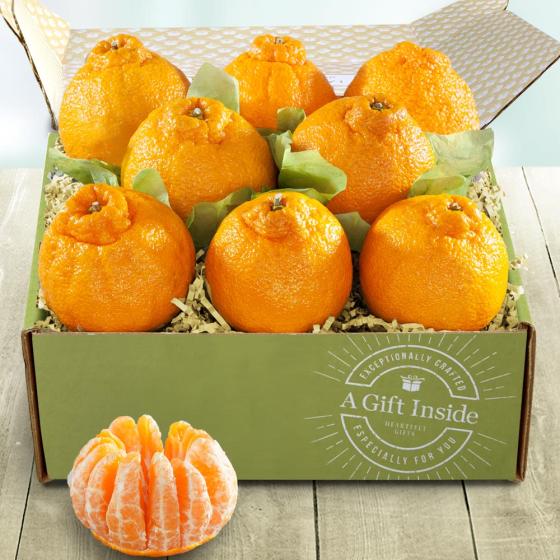 SUMO CITRUS® Dekopon Gift Box AB1039 A Gift Inside