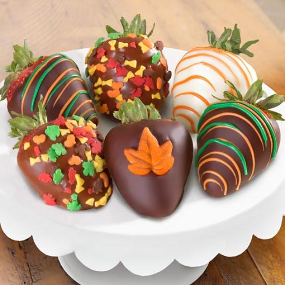 Best Organic Chocolate Gifts Best Organic Chocolate Gifts