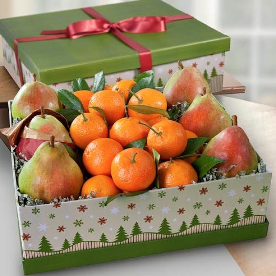 Summit Christmas Fruit Gift Box AG1001 A Gift Inside