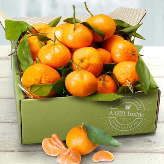 AB1021, Satsuma Mandarins Gift Box