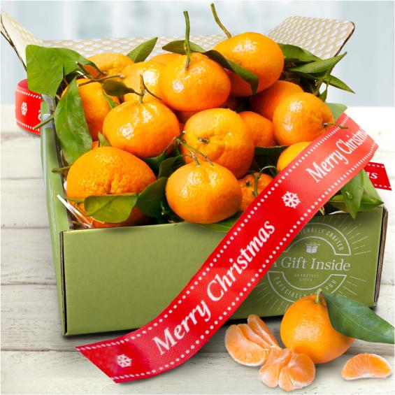 AB1021X, Merry Christmas Satsuma Mandarins Gift Box