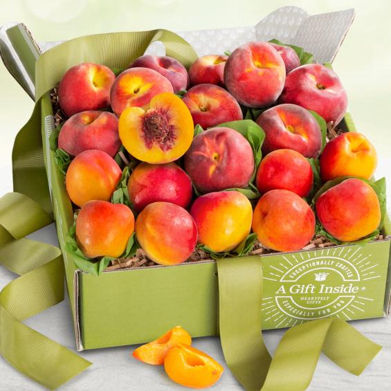 AB1090, Summer Fruit Box with Peaches and Apricots