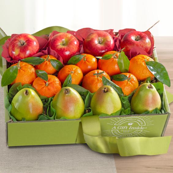 Premium Photo  Pears fresh sweet organic pears with leaves on