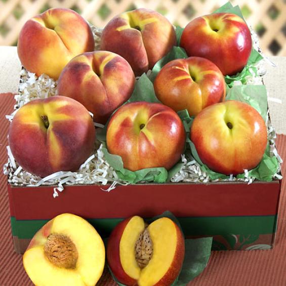 AB1007, California Summer Peach and Nectarine Combo