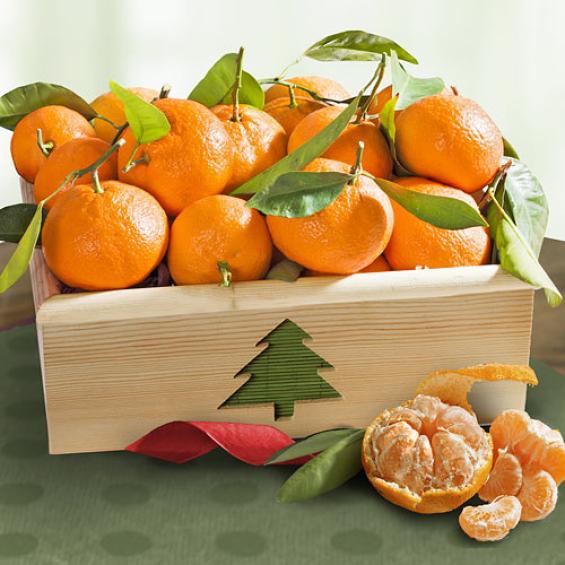 AC0008, Season's Greetings Mandarins Crate