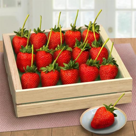 AC1000, California Long-Stemmed Strawberry Crate
