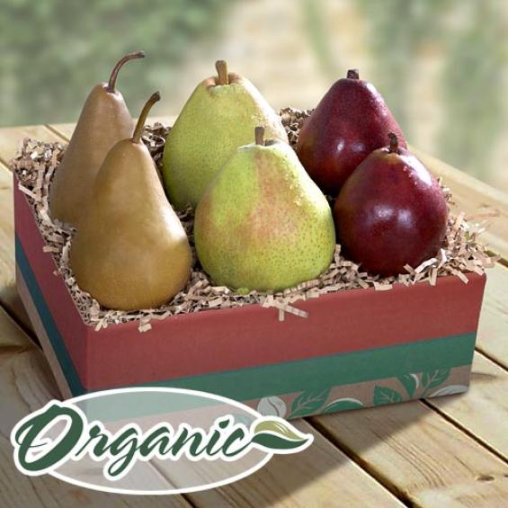 Organic Golden State Pears to Compare Fruit Gift - RB0002