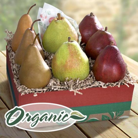 Organic Golden State Pears to Compare Deluxe Fruit Gift - RB1001