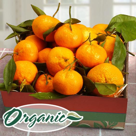 RB1010, Mendocino Organic Mandarins