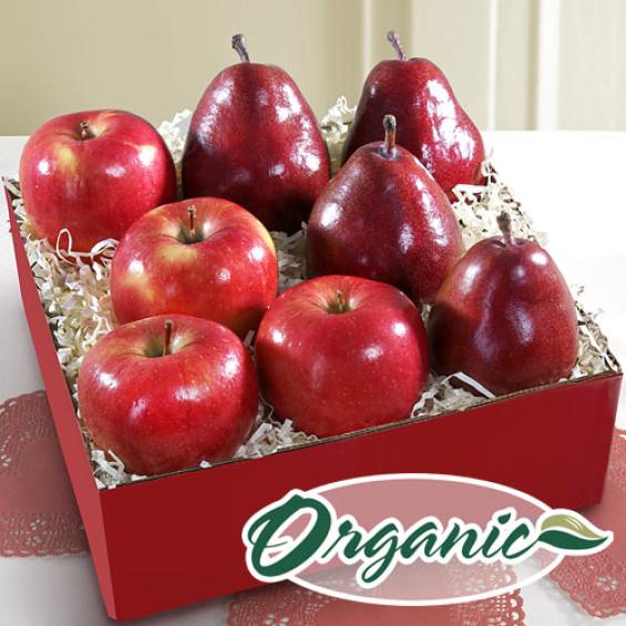 RB1013, Organic Ruby Red Fruit Gift Box