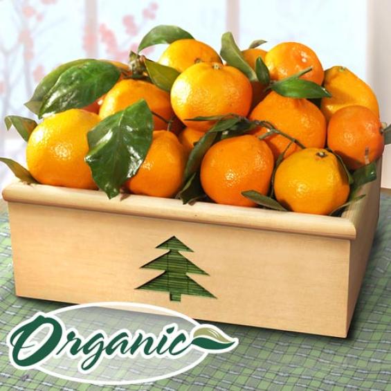 RC0005, Muir Organic Mandarin Crate
