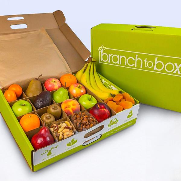 BTB1002, BTB Medium Box
