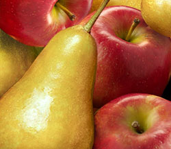 Organic Buerre Bosc Pears and Organic Braeburn Apples