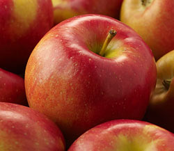 Organic Fuji Apples