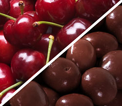 Organic Dark Sweet Cherries with Organic Chocolate-Covered Dried Cherries