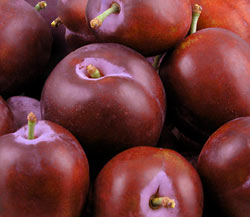 Organic Red Plums