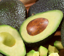 Hass Avocado