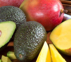 Kent Mango & Hass Avocado