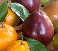 Crimson and Green Comice Pears & Satsuma Mandarins