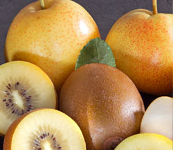 Reddy Robin Apple Pears & Sungold Kiwifruit
