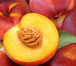 Nectarine Medley