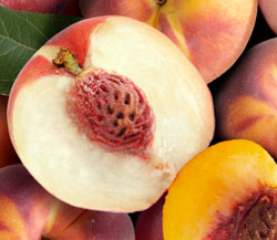 Peach Medley
