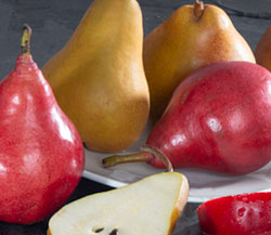 Red & Russeted Pear Medley