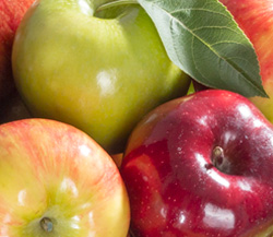 Apple Varietals Medley