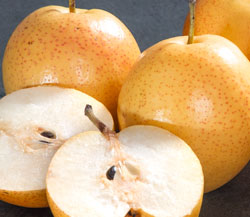 Reddy Robin Apple Pears